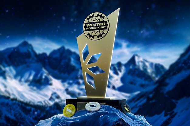 Итоги и герои суперсерии Winter Poker Cup на Dude Bet